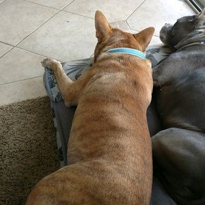 Meet your Posher, Isabel